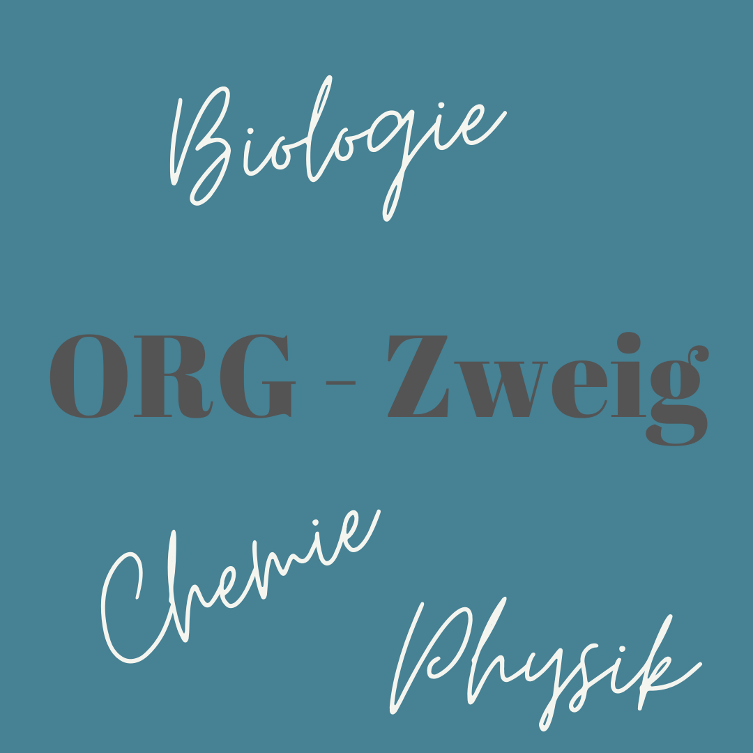 ORG Zweig