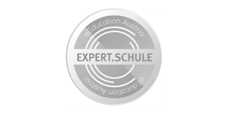 Logo Expert School